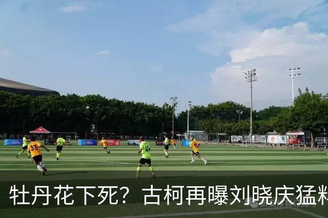 牡丹花下死？古柯再曝刘晓庆猛料，庆奶发声，没把前助理放眼里
