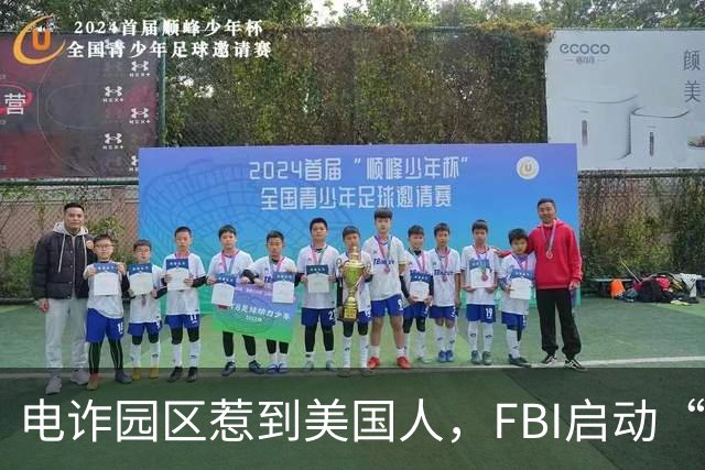 电诈园区惹到美国人，FBI启动“断电行动”，对电诈园区彻底开战